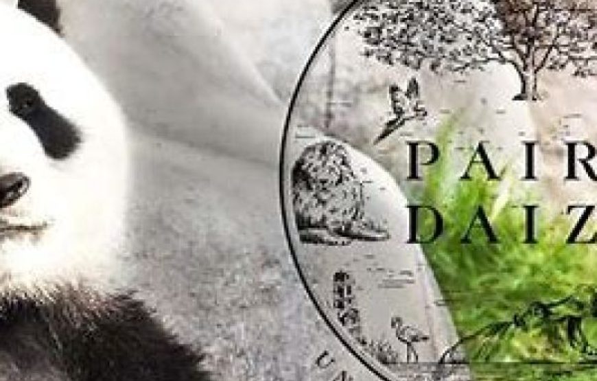 * ALL NEW * February 27 : Trip to the best zoo in Europe “The Pairi Daiza (Walled Garden)”