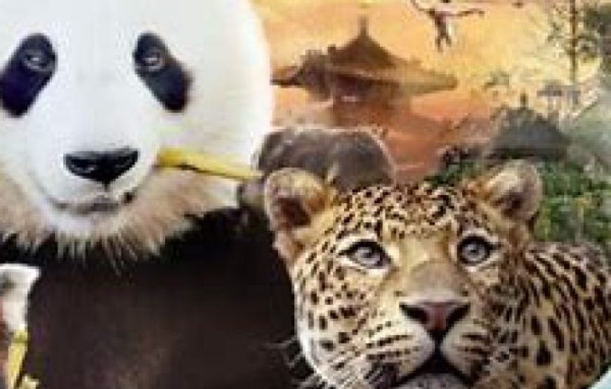 * ALL NEW * February 27 : Trip to the best zoo in Europe “The Pairi Daiza (Walled Garden)”