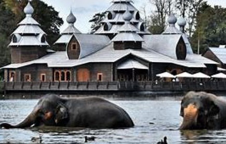 * ALL NEW * February 27 : Trip to the best zoo in Europe “The Pairi Daiza (Walled Garden)”